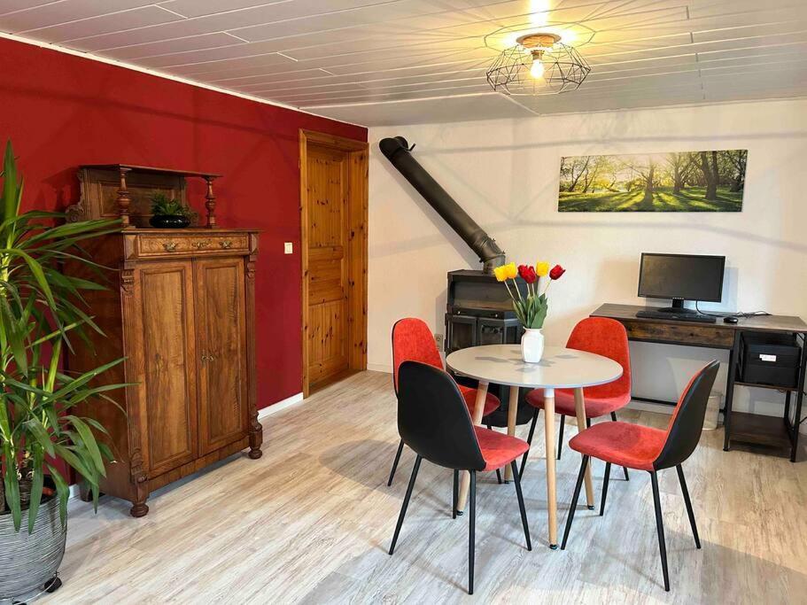 גרוסשונאו Maisonette-Fewo Fritz Mit Infrarotsauna מראה חיצוני תמונה