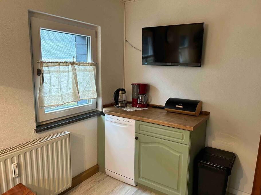 גרוסשונאו Maisonette-Fewo Fritz Mit Infrarotsauna מראה חיצוני תמונה