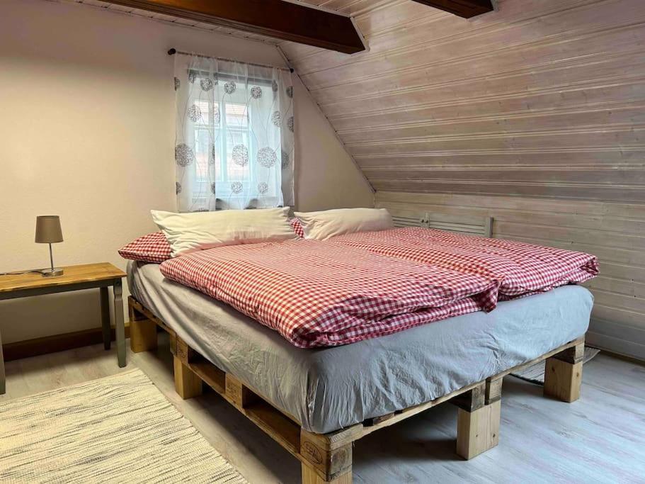 גרוסשונאו Maisonette-Fewo Fritz Mit Infrarotsauna מראה חיצוני תמונה